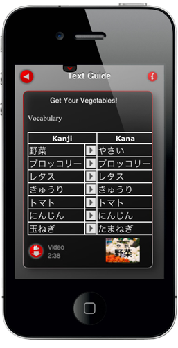 Screenshot 4 - Video Vocabulary - Japanese 
